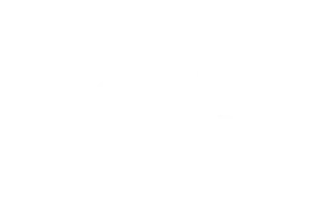 AWS Partner Logo White