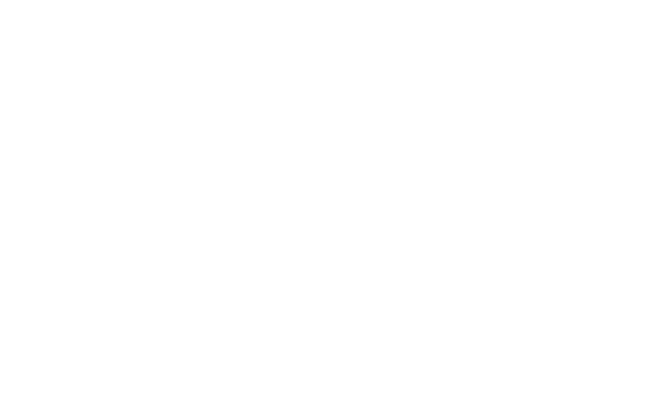Accenture Partner Logo White (1)