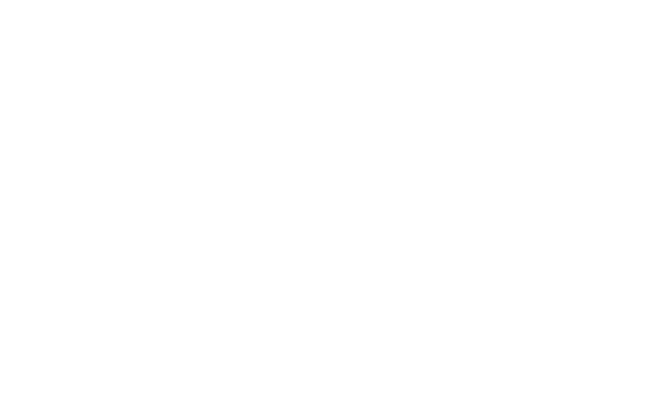 Akeneo Partner Logo White