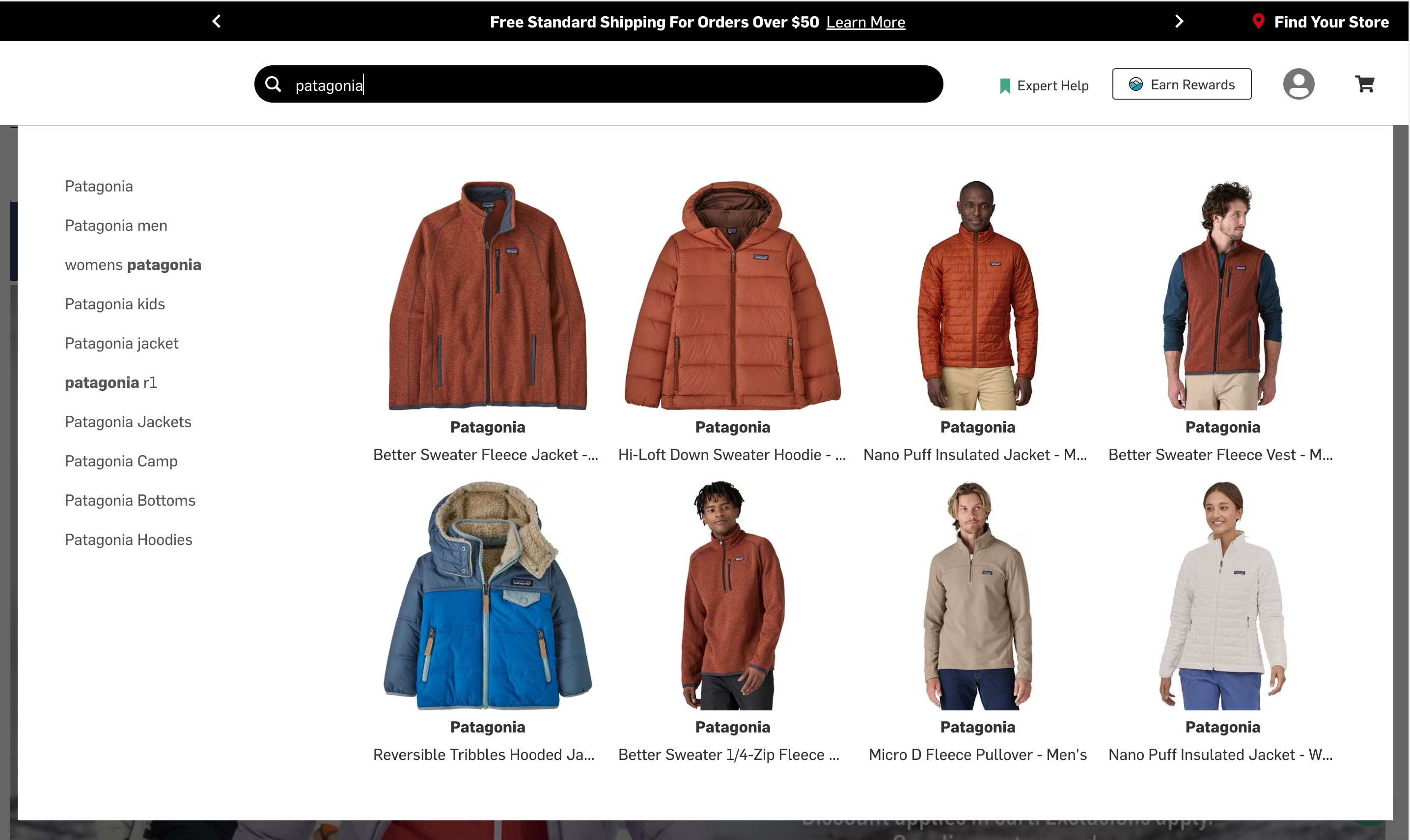 Backcountry Autosuggest Patagonia