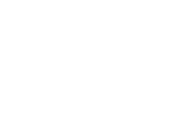 Grid Dynamics Partner Logo White (1)