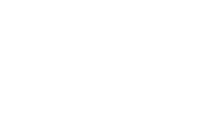 IONA Partner Logo White (1)