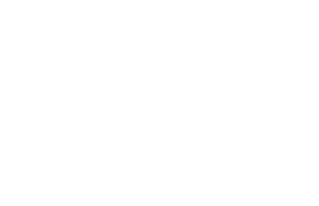 LEVO Partner Logo White (1)