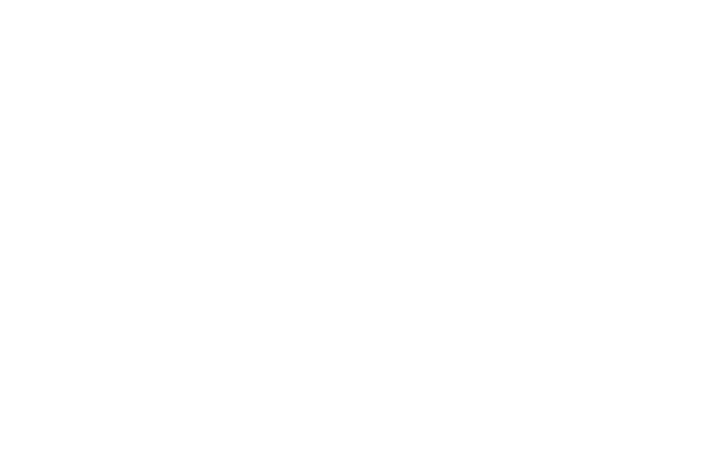 Salesforce Commerce Cloud Partner Logo White