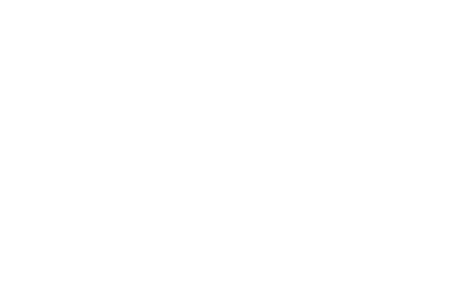 Shopify Partner Logo White