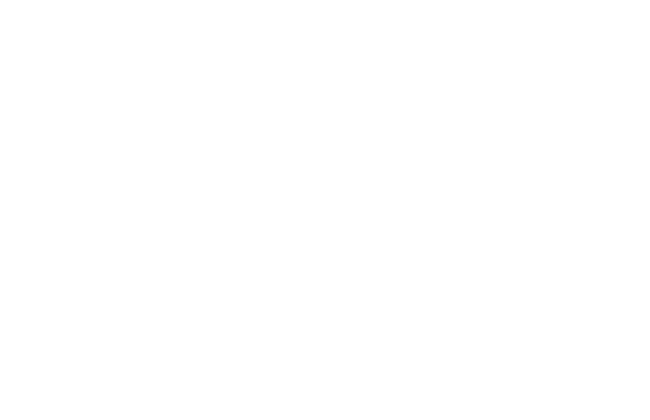 Smith Partner Logo White (1)