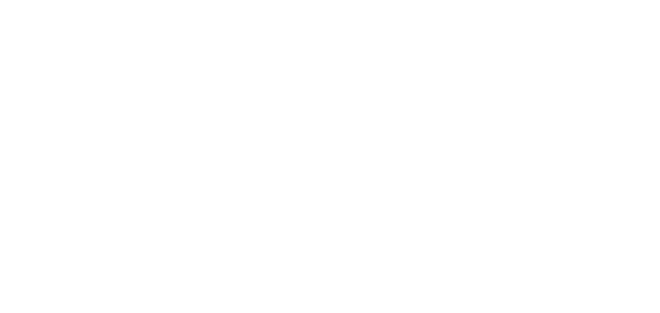 Stripe wordmark - White - Large