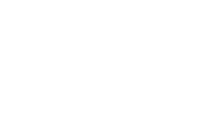 Valtech Partner Logo White (1)