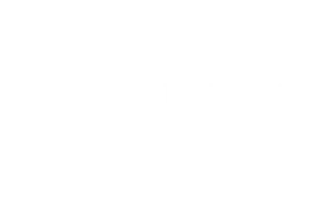 alokai Partner Logo White