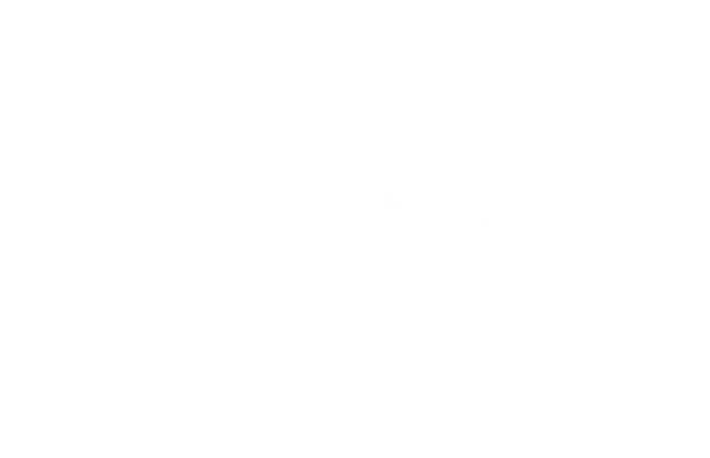 amplience Partner Logo White