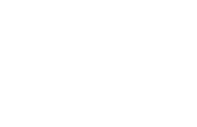 aries Partner Logo White (1)