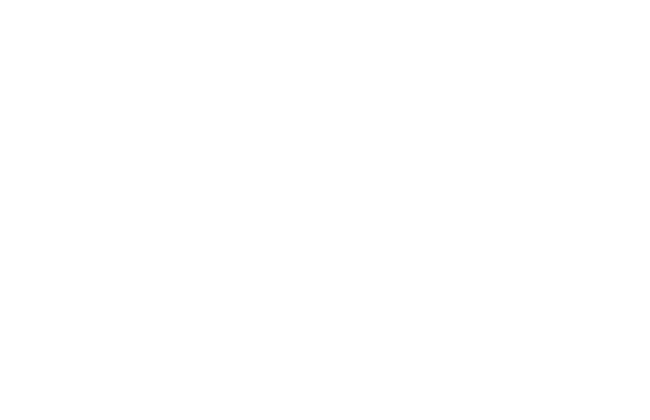 avensia Partner Logo White (1)
