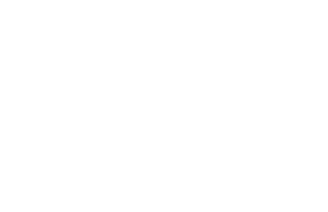 cabiri Partner Logo White (1)