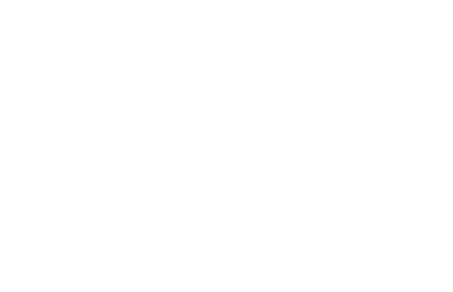 commercetools Partner Logo White