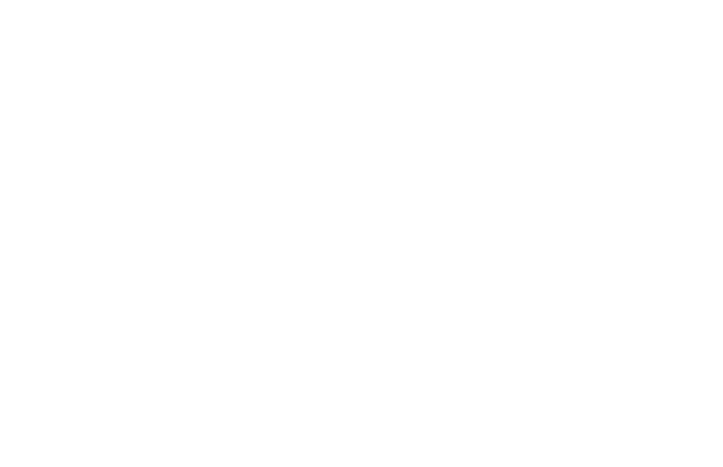 diva e Partner Logo White (1)