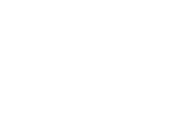 domaine Partner Logo White (1)