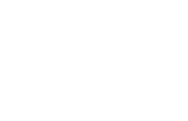 epam Partner Logo White (1)