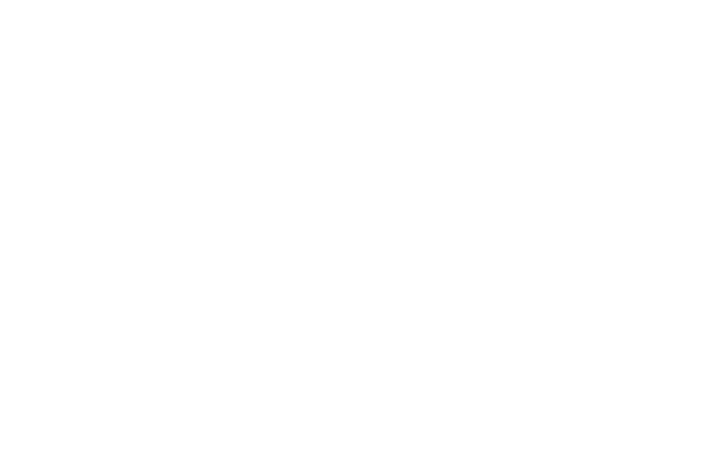 fabric Partner Logo White