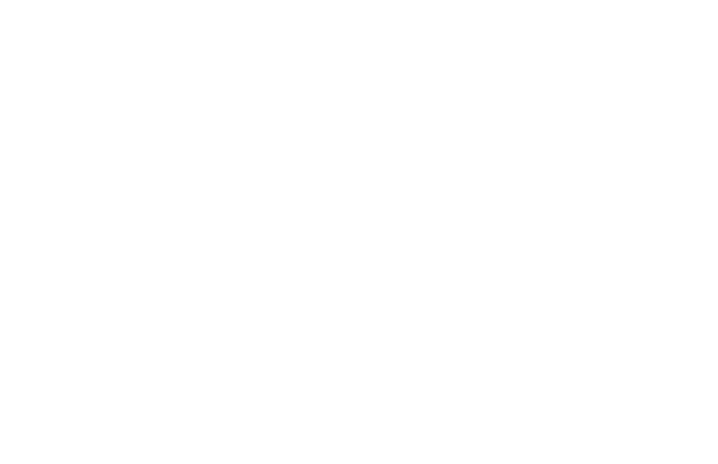 fluentcommerce Partner Logo White