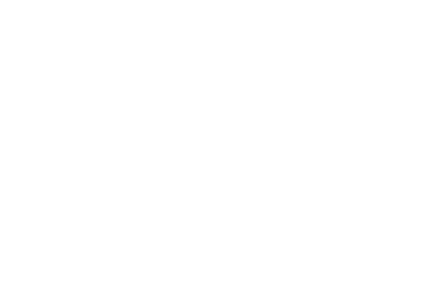 impact Partner Logo White (1)