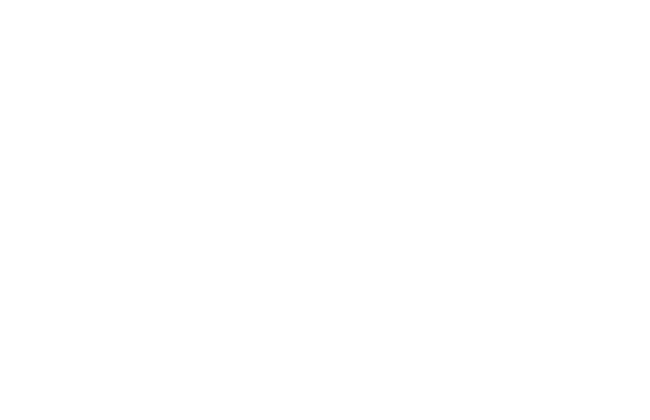 logic Partner Logo White (1)