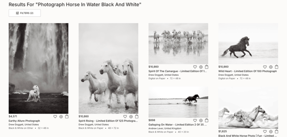 photograph horse after@2x