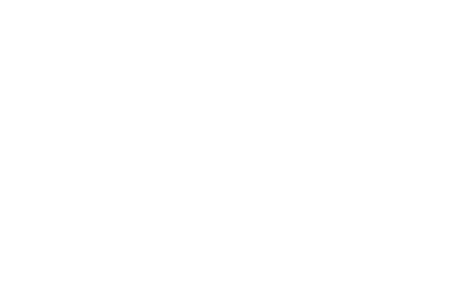 pixel Partner Logo White (1)